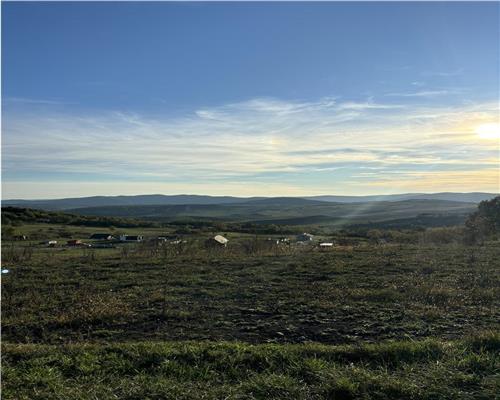 Urgent Teren 1 ha, zona Cartier RAAL