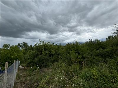 Teren extravilan 1348 mp, Drumul Dumitrei