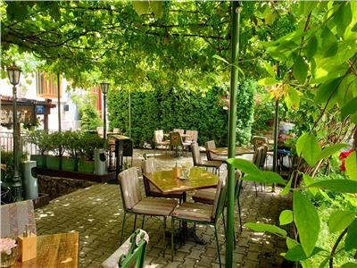 Oportunitate afacere restaurant/ pub