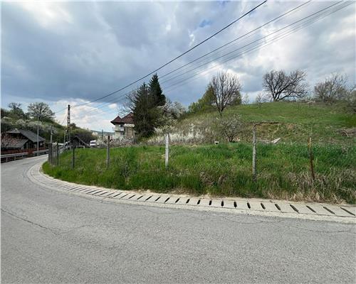 Teren intravilan 31 ari, Valea Budacului