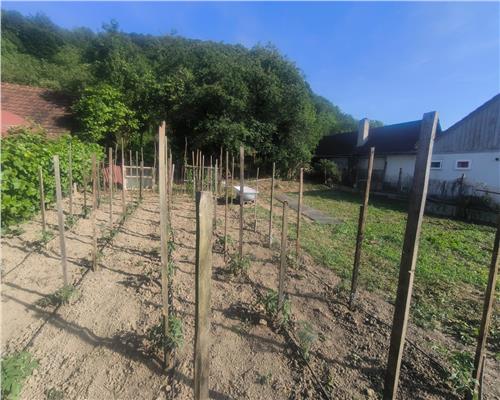 Teren Intravilan, Chirales , 15 Ari